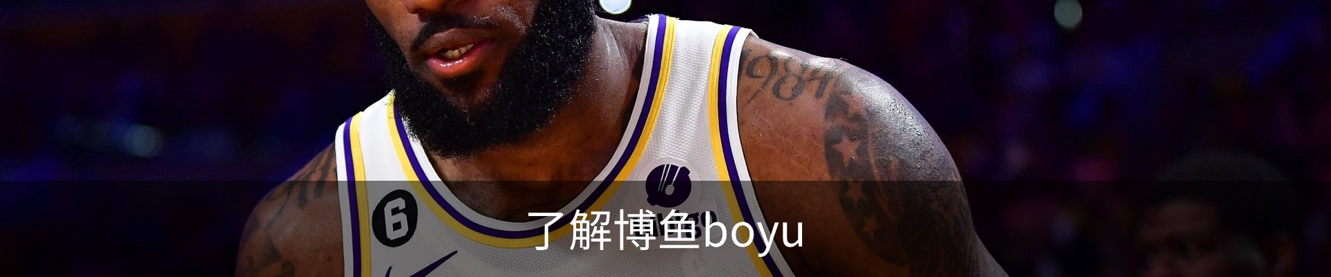 了解博鱼boyu